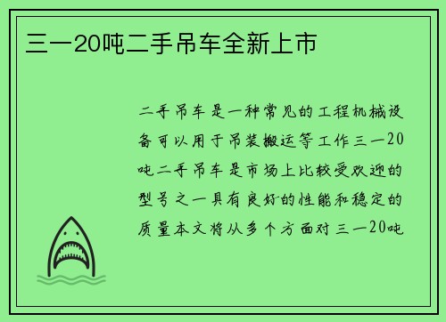 三一20吨二手吊车全新上市